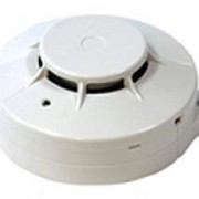 DAU BAO KHOI FMD-313
